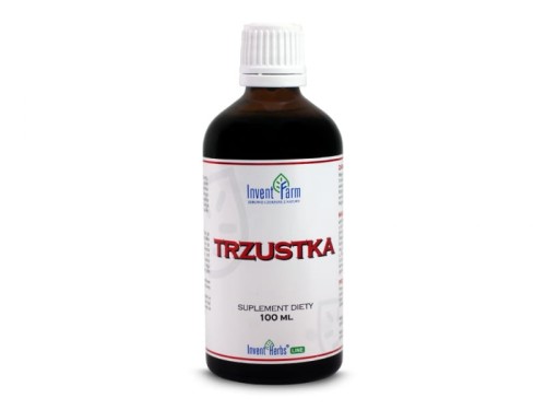 trzustka.jpg