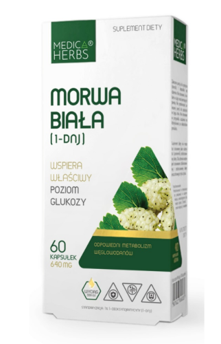 Bez tytułu.png